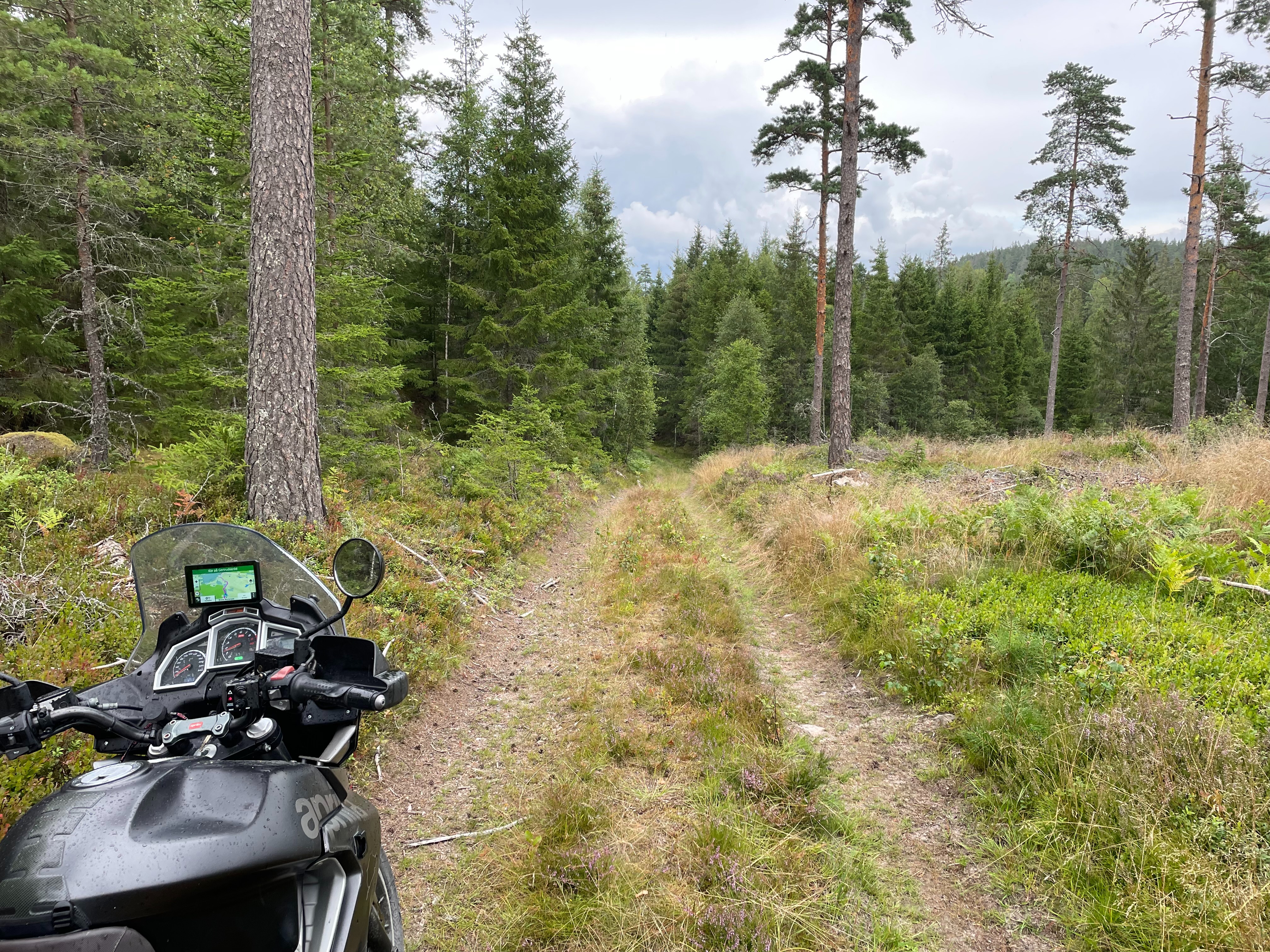 Michael Berenberg skogsbild med mc