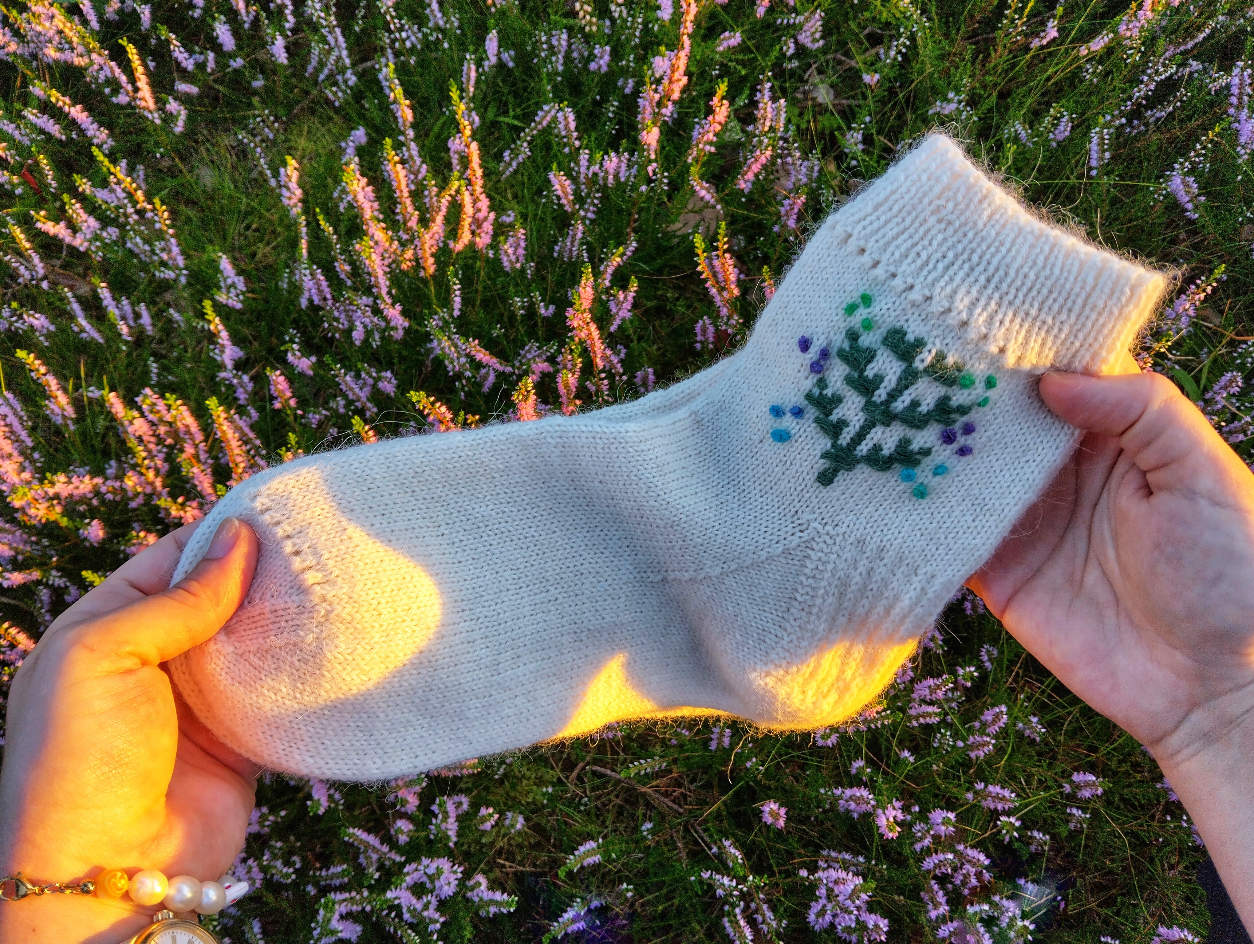 IMG_20240806_070420_918