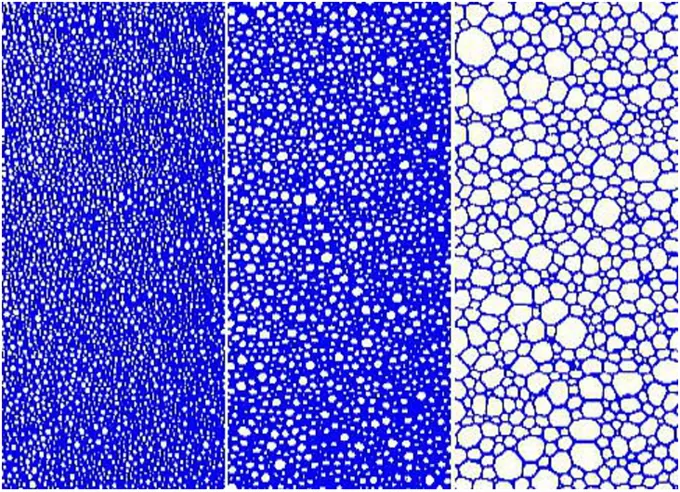 Foam_structures