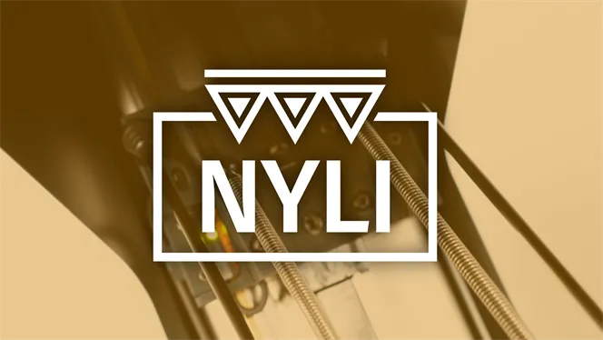 nyli omslag artikel-6